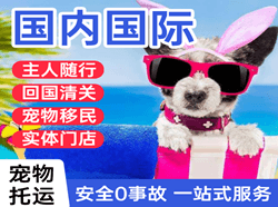 五台山航空空运国际宠物托运 【国